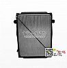 Dongfeng radiator assembly, Dongfeng dragon water tank1301010-T3000