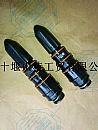 4914308 the supply of Chongqing Cummins NT855 injector assembly STG49143084914308