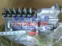 东风康明斯L300马力发动机燃油喷射泵总成C4945792C4945792