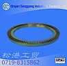 Dongfeng Dana Dongfeng ABS ABS ring gear disc brake