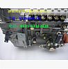 Weifang Diesel fuel injection pump612601080176