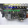 Weifang Diesel fuel injection pump612601080378