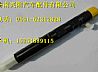 Delphi common rail injectorEJBR02101Z