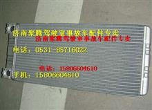 中国重汽豪沃A7暖风散热器总成WG1664820053
