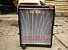 1301010-GB100 Dongfeng truck radiator assembly / tank