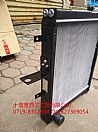 N1301010-GB100 Dongfeng truck radiator assembly / tank