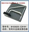 8103020-C0101 Dongfeng Tianlong evaporator core assembly8103020-C0101