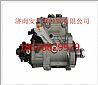612600080674 WP10 Weichai engine fuel pump assembly612600080674