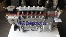 重汽豪沃燃油喷射泵/VG1096080130/CB6H983VG1096080130