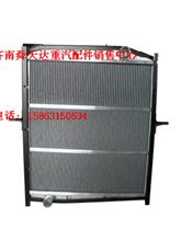 重汽斯太尔水箱散热器WG9112530267
