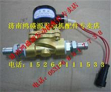 玉柴天然气冷却液电磁阀PS-L026-06