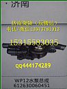 潍柴动力WP12发动机水泵分总成（重汽/潍柴发动机配件）/612630060451