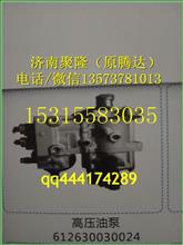 潍柴欧3WP12发动机共轨喷油泵（重汽/潍柴发动机配件）612630030024