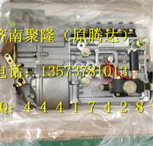 重汽发动机燃油喷射泵总成喷油泵总成VG1095080190