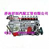 潍柴WD12高压油泵/612600081235