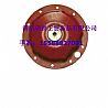 North Benz wheel side outer coverA6243560020