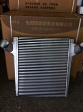 1118B80A-001中冷器總成東風貝洱散熱器廠家直銷1118B80A-001