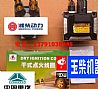 Nanchong natural gas engine ignition coil