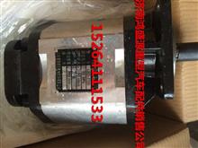 液压齿轮泵CBD-F100CBD-F100