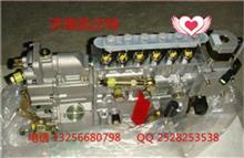 VG1096080130重汽豪沃斯太尔金王子发动机高压油泵VG1096080130