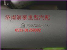 重汽豪泺（豪沃）消声器前端排气管WG9725540083WG9725540083