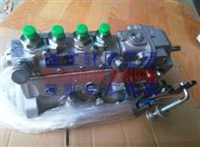 东风康明斯4BT3.9系列发动机高压油泵C4946526C4946526