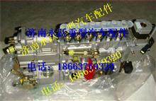 重汽发动机高压油泵VG1096080130