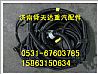 陕汽德龙MAN车架线束 驾驶室线束 底盘线束 发动机线束生产定做 DZ95189774461