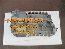 东风康明斯ISDe210发动机燃油泵C5260334