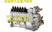 潍柴高压油泵燃油喷射泵原装马力 厂家 价格612601080381