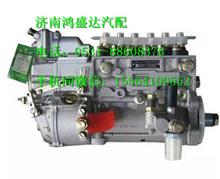重汽WD615.93E重庆油泵VG1092080170VG1092080170