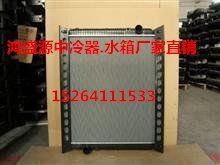 重汽豪沃09款散热器水箱（小马力）WG9725530011