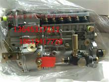 潍柴WP10发动机高压油泵/P10喷油泵612601080376612601080376