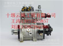 雷诺发动机高压油泵D5010222523