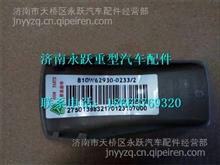 810W62930-0233中国重汽豪沃T5G扶手安装护盖810W62930-0233