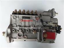 5260334康明斯燃油喷射泵ISDe发动机电控燃油泵5260334