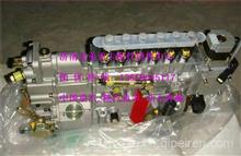 VG1096080130重汽发动机高压油泵VG1096080130