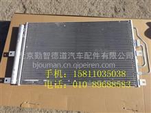 福田戴姆勒欧曼H0812020002A0冷凝器总成 H0812020002A0