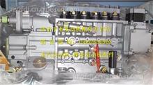 VG1246080097重汽D12电喷共轨高压油泵VG1246080097