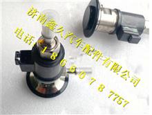 中国重汽国四发动机尿素喷射器WG1034121002WG1034121002
