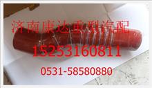 重汽豪沃斯太尔膨胀水箱补水胶管(北京天元)WG9325531369