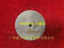 中国重汽豪沃转向节销WG9770410003