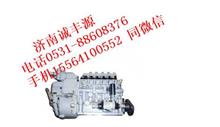 VG1246080038喷油泵总成（D12国2）VG1246080038