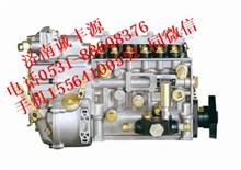 VG1557080050EGR喷油泵总成(四气门95机)VG1557080050EGR