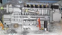 中国重汽D12电喷共轨高压油泵VG1246080097