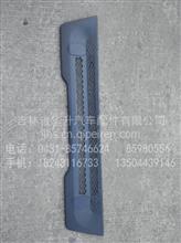 西安陕汽德龙F3000原厂保险杠格栅（中网）DZ95189620021