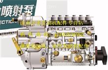 VG1557080060中国重汽杭发EGR喷油泵总成VG1557080060