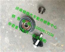中国重汽曼MC11发动机惰轮201V95800-6099201V95800-6099