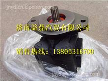 中国重汽特种车豪威码头牵引车派克齿轮泵BZ53717300185