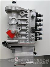 供应东风康明斯发动机配件6BTAA5.9-G2/6L燃油喷射泵10403716267/C4945791